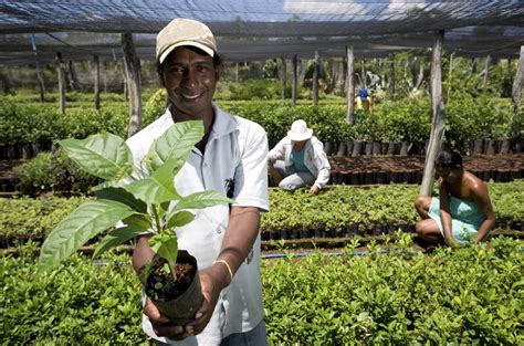  Family Farming: A Portrait of Brazilian Agriculture - An Exploration of Rural Heritage and Sustainable Practices