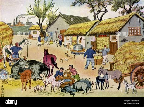  Chinese Agriculture: An Illustrated Guide to Traditional Practices - A Symphony of Soil and Soul!