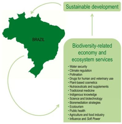  Know Your Seeds: A Journey into Brazilian Bio-Diversity - Unveiling the Secrets of Ancient Agricultural Practices