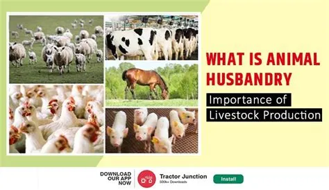  Livestock Production: A Comprehensive Guide - Embracing Ancient Wisdom and Modern Innovation in Animal Husbandry